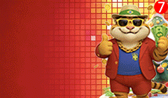 App 5567: Sua Plataforma Completa e Confiável 4 Imagem ilustrativa